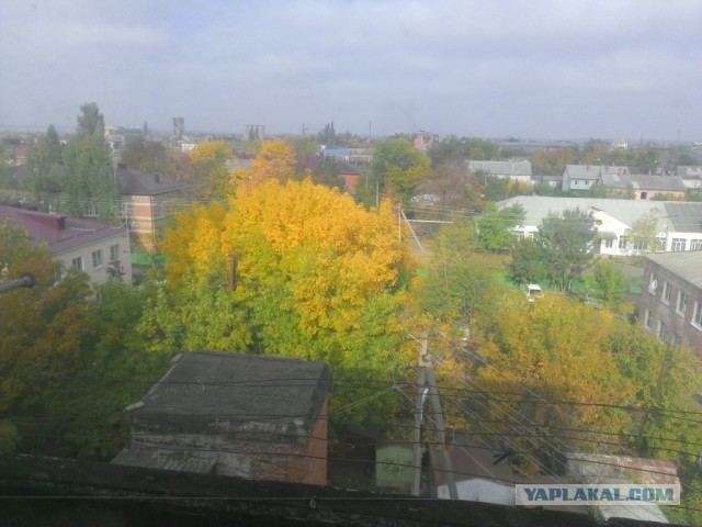 Сибирь матушка! а что у вас за окном?