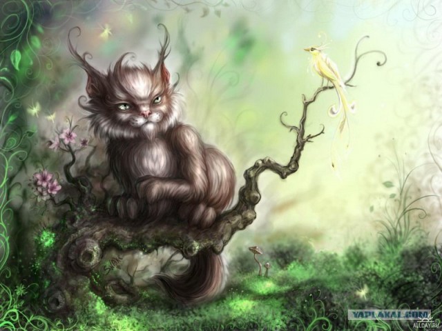 Рисованный котовторник
