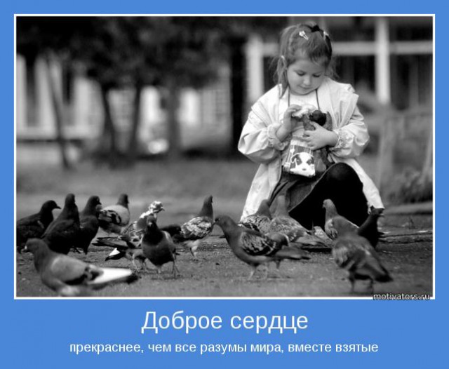 С добрым воскресным днем!