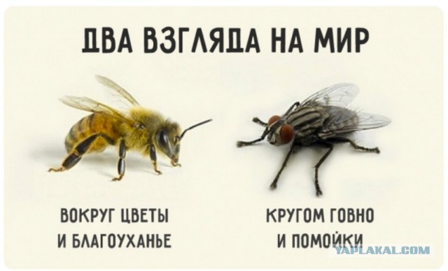 Выдающиеся достижения СССР и России