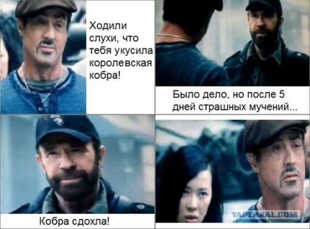 Давно Чака не вспоминали, можно умереть от этого