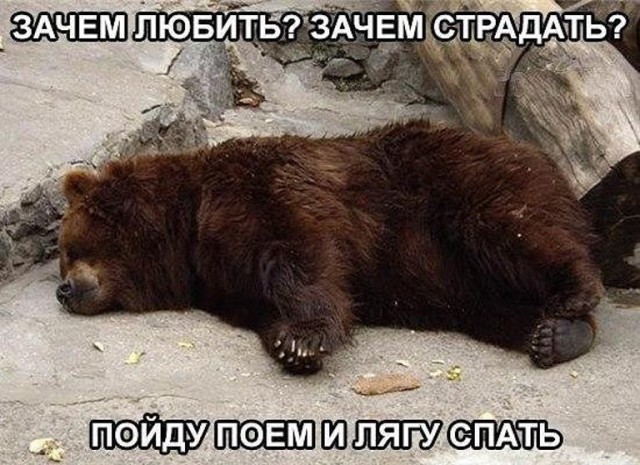 Для фанатов Короля и Шута
