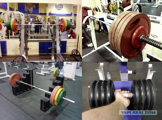 Всегда интересовал вопрос: