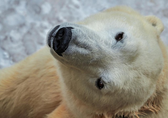 Подборка красивых фото