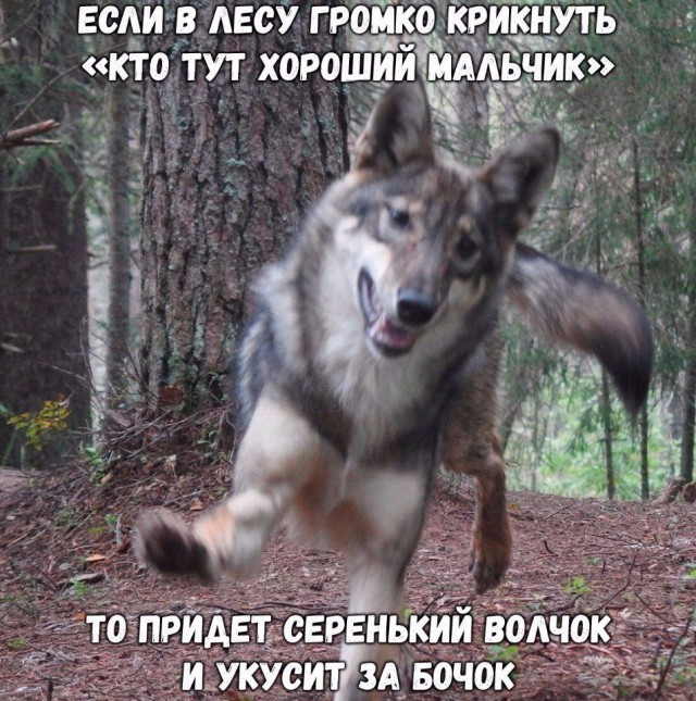 Подборка интересных и веселых картинок