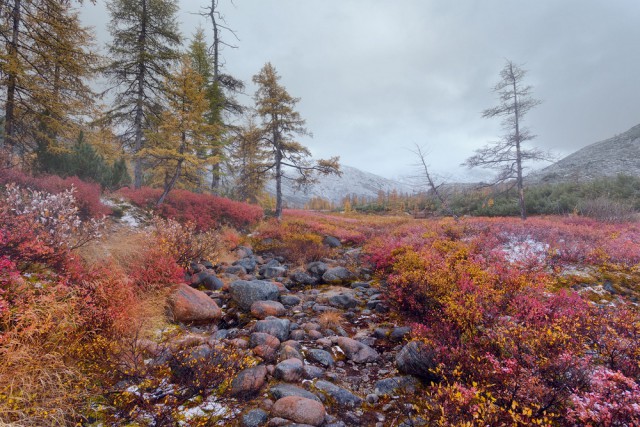 Осенняя Колыма