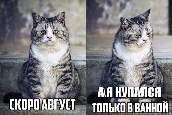 Немного картинок в эту среду