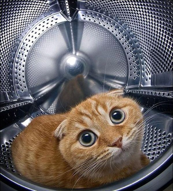А может не надо?