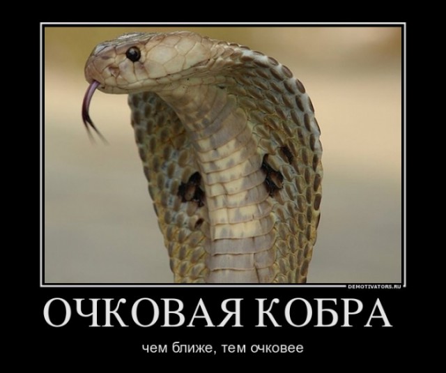"Мне только спросить!"