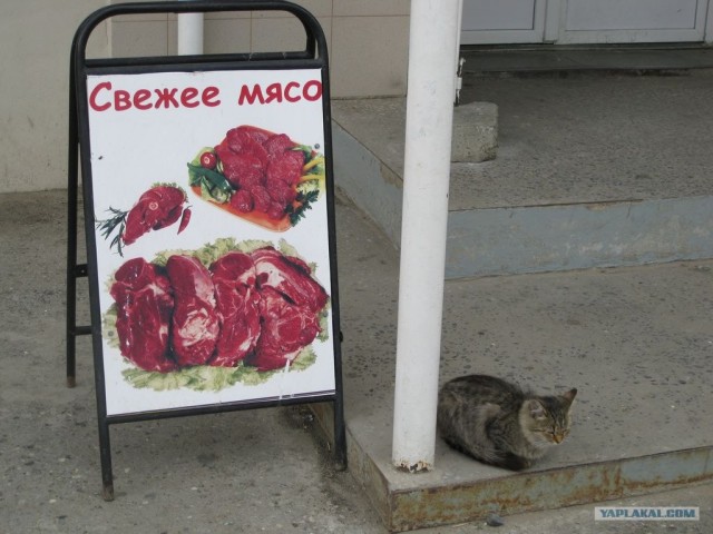 Конкурс "РАБ"