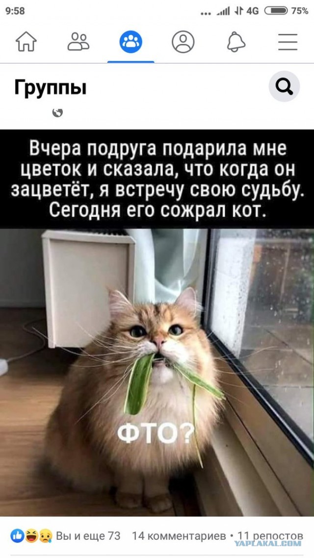 Бредзона 31.05.20