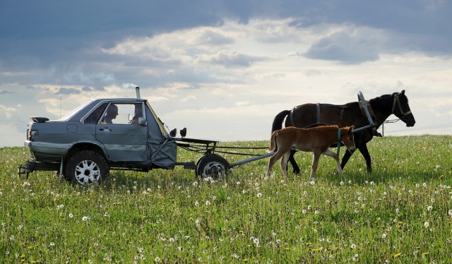 Сельский комфорт. “Audi — 40”: белорусский пастух соорудил оригинальную повозку