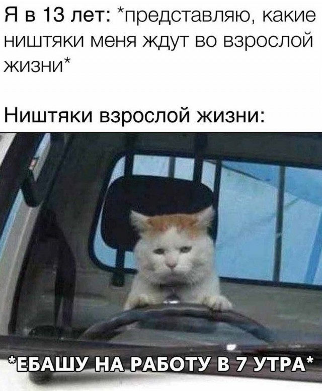 Чуток картинок 26.06.20