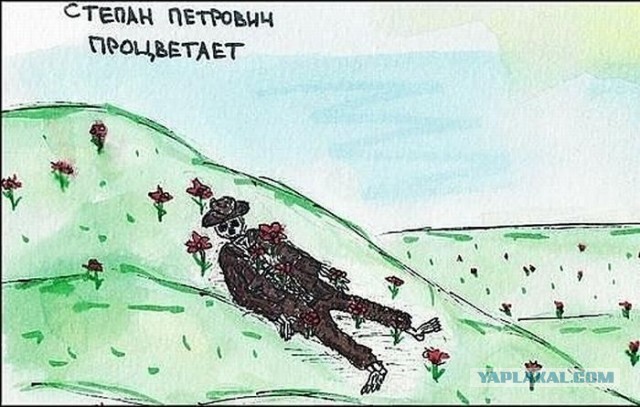 Действительно ли проросший картофель опасен для человека?