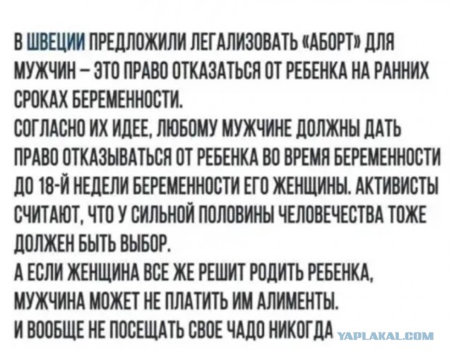 Бредзона 28.10.2020