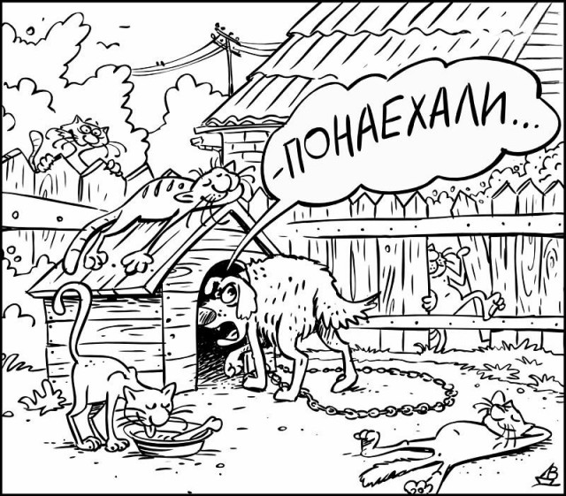 С котопятницей! Улыбнемся?