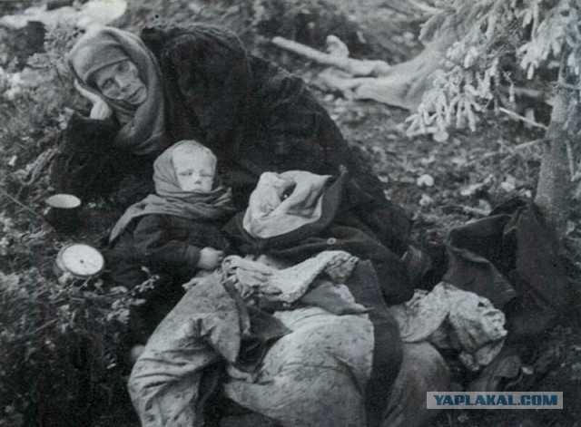 Пили бы баварское, говорите?