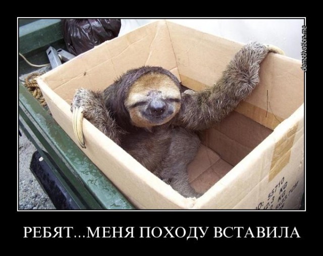 Таксидермия + наркомания