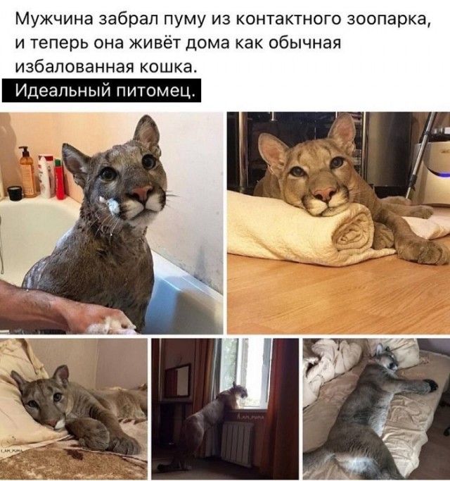 Картинки с надписями и всякие жизненные фразы 25.05.21