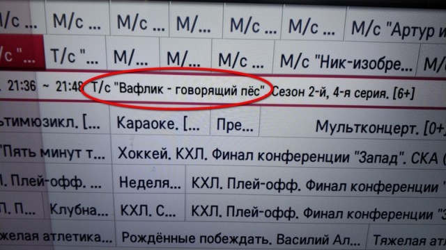 Весёлый полтишок 15.06.