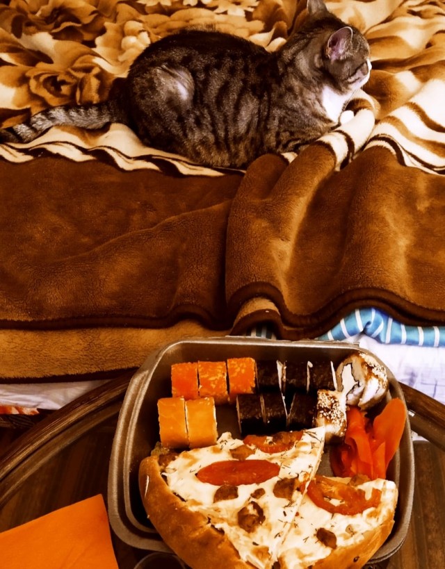 Мои личные котейки к котовторнику!