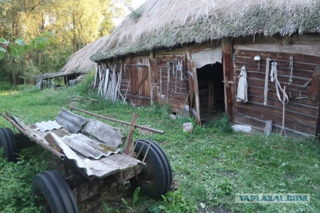 Заброшенные деревни. Уникальная деревня посреди болот