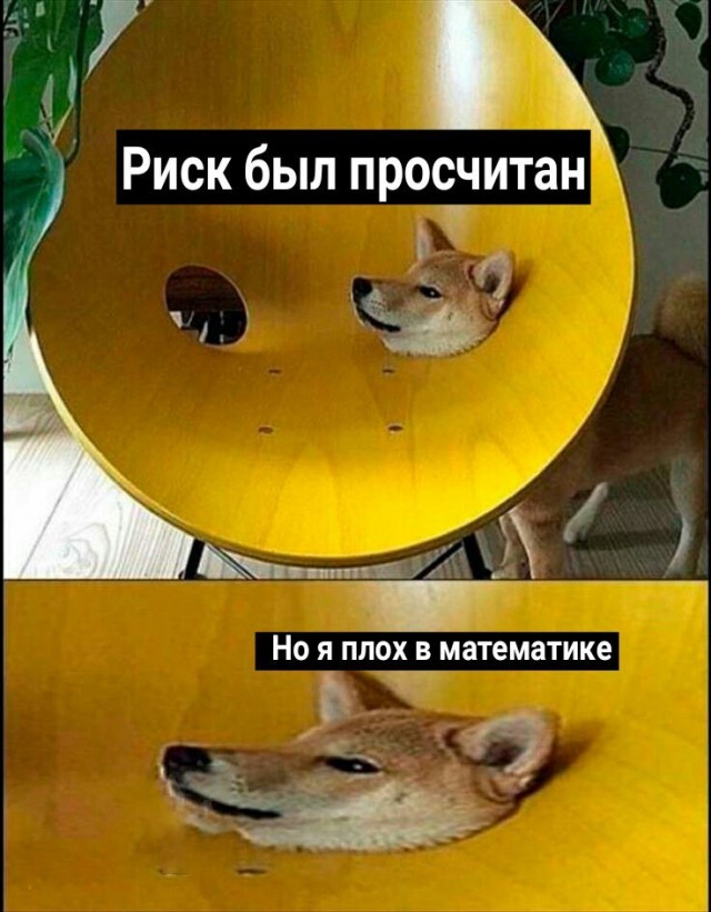 Весёлый полтишок 26.09