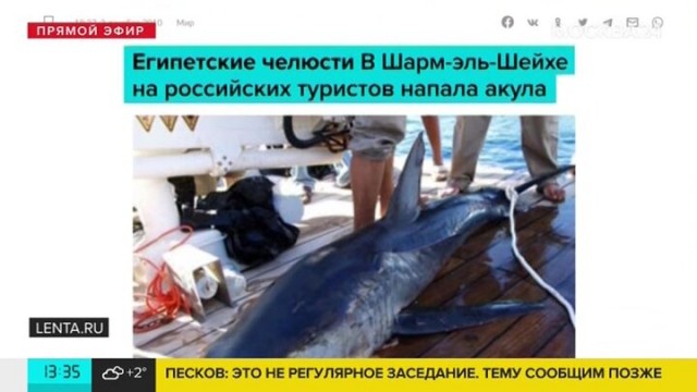 Так себе картинки 24.02.22