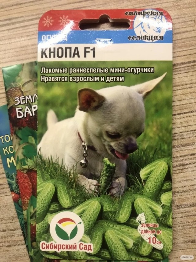Пятница. И немного слегка пошлых картинок с надписями и без 16+ (22.04)