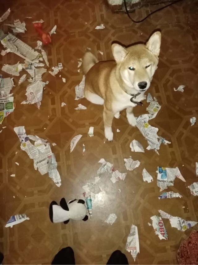 Счастя полные штанцы