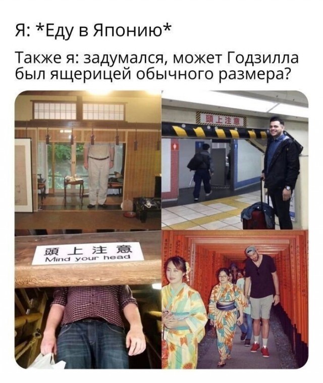 Забавные комментарии из Сети 19.06.22