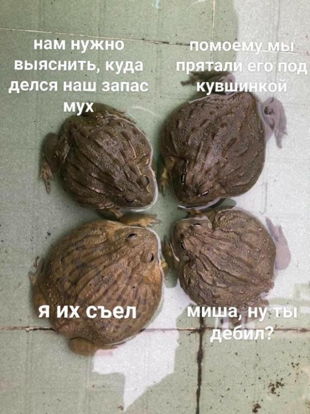 Немного картинок для настроения - 112