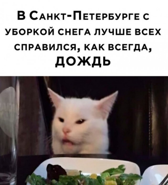 Картинки и мемы. Выходные близко...
