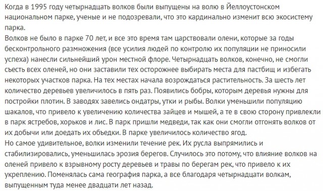 Так себе картинки 22.01.23