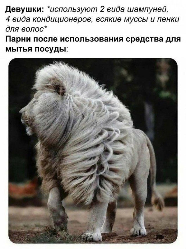 Всего понемногу. Первоапрельский выпуск