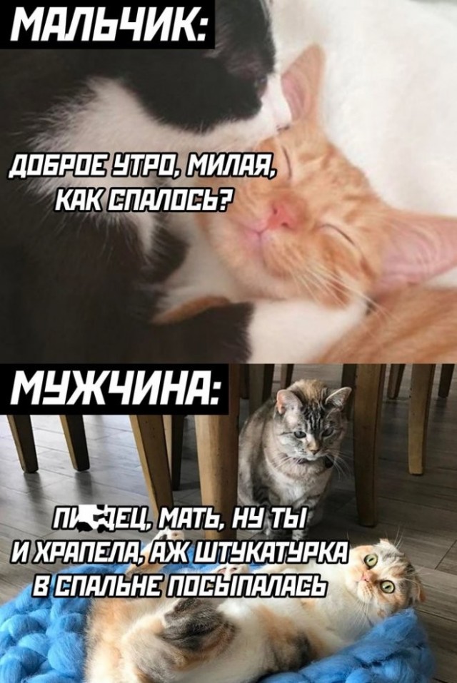 Так себе картинки 05.08.23