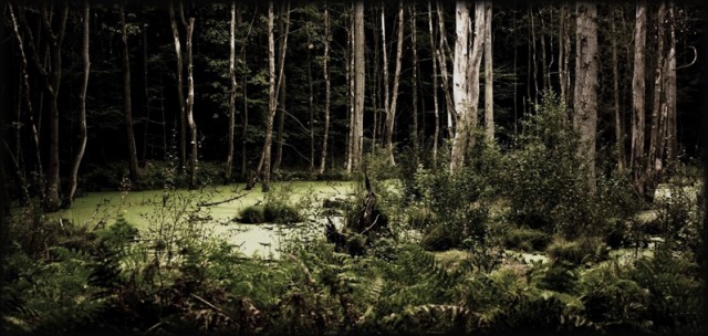 Литературный конкурс Пятак