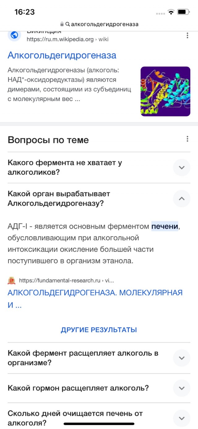 Пьющая красавица: мифы и правда о женском алкоголизме
