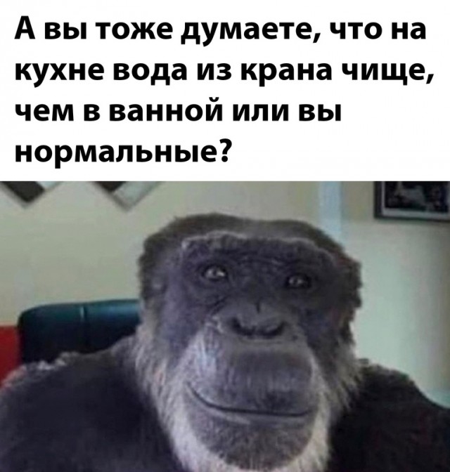 Весёлый полтишок 18.01.24