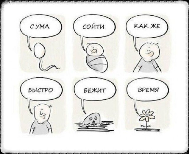 Так себе картинки 20.01.24
