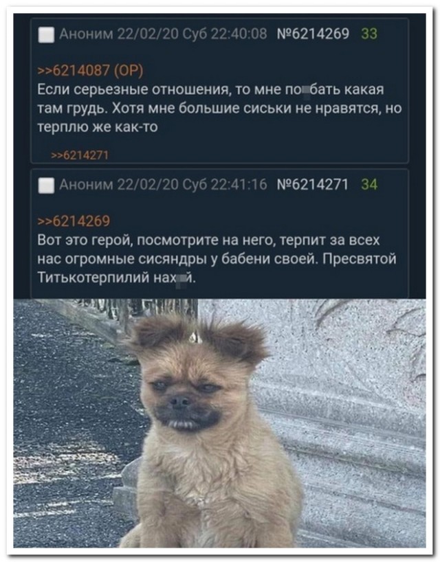 Забавные комментарии из социальных сетей (15.04.24)