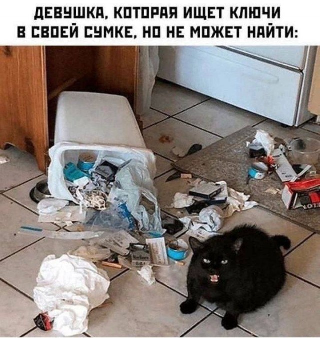 Весёлый полтишок 22.04.24