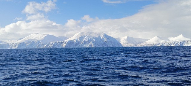Кто в детстве не мечтал быть моряком?