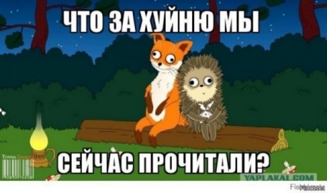 Ситуация летом. Адлер