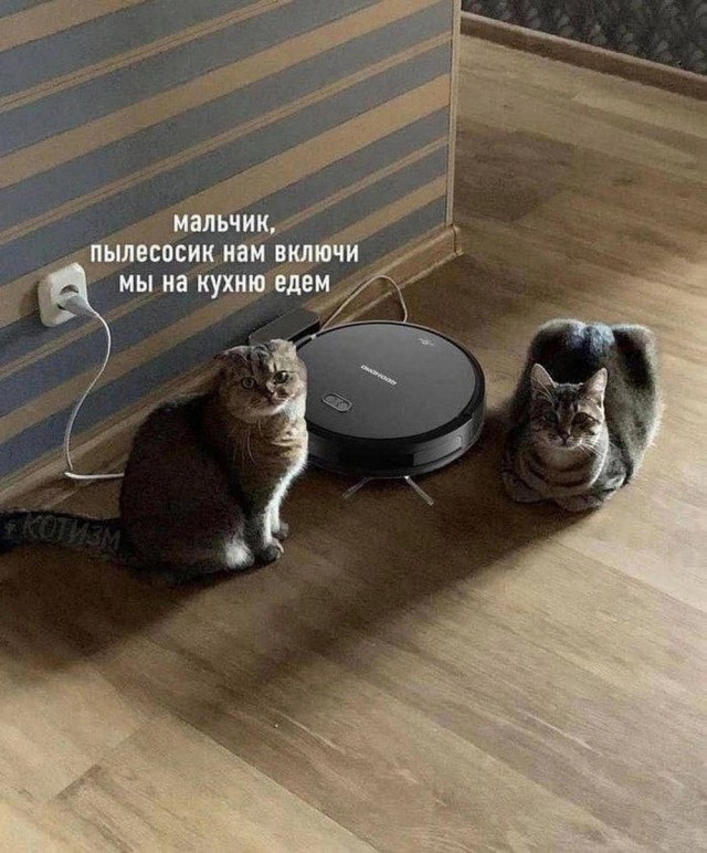 Картинки своеобразного юмора