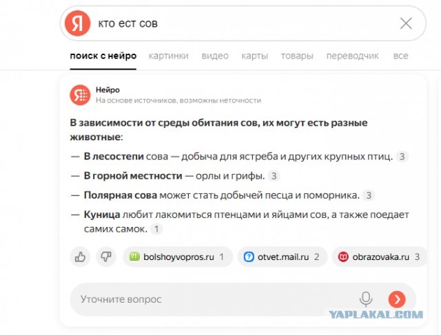 Как правильно мыть сову, если она начала попахивать