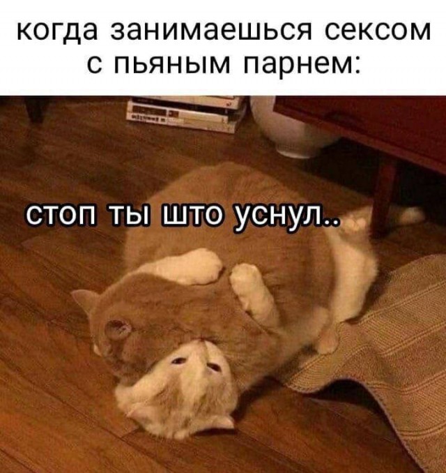 Веселые картинки в пятницу (16.02)