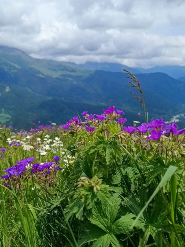 Архыз, Карачаево-Черкессия