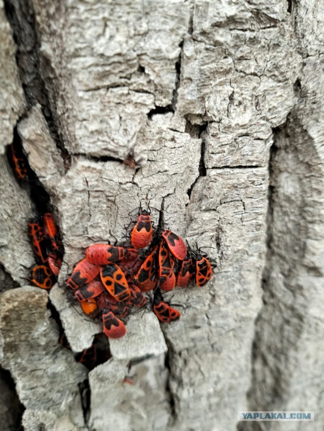 Про секс, ну почти.