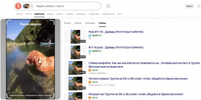 Рви меха или как перестать постить баяны на ЯП